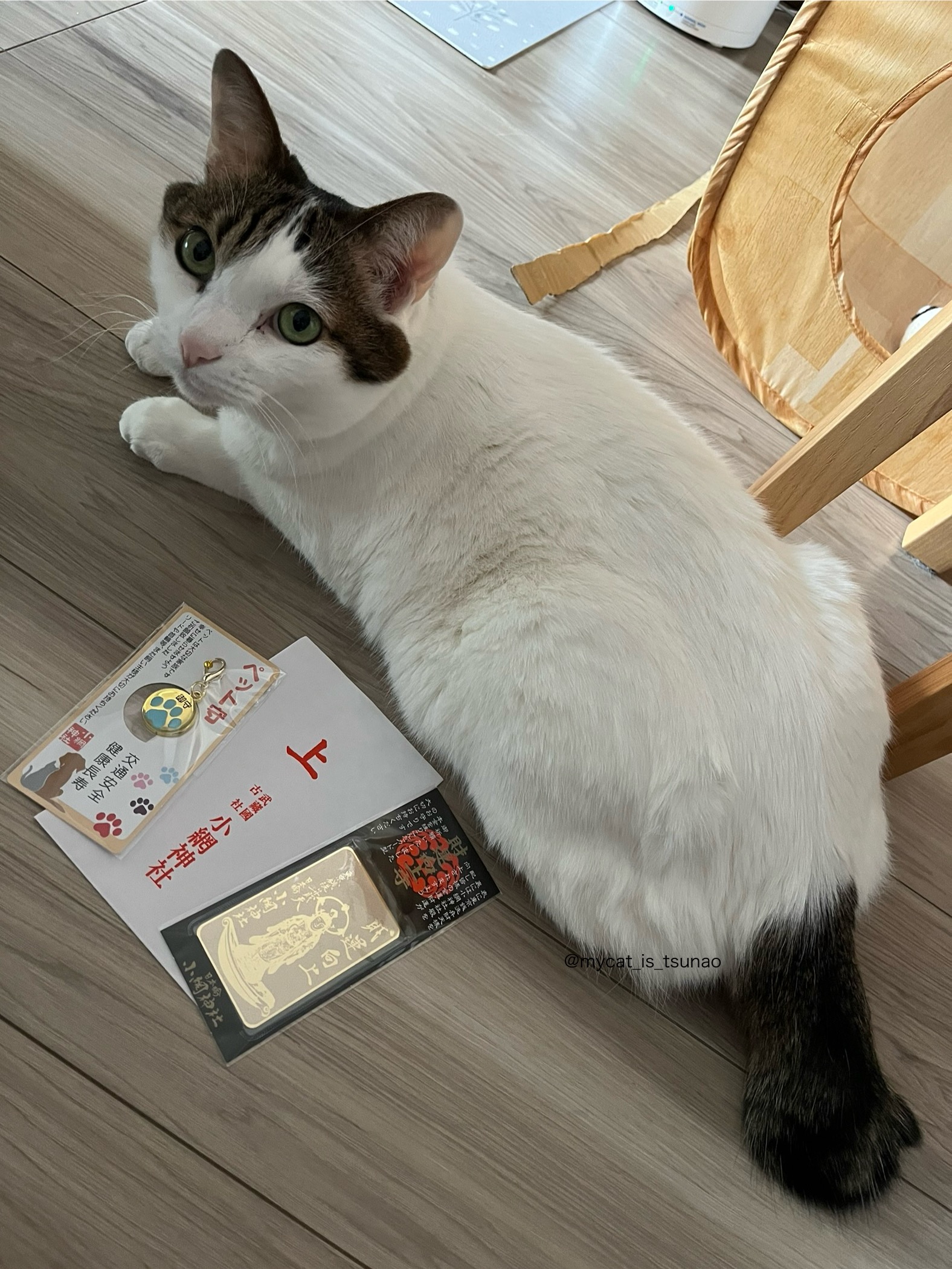 看板猫ツナオ